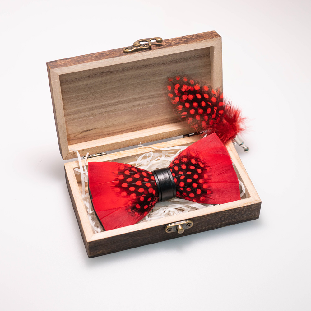 EASTEPIC – broche à nœud papil - Neck Tie Set Box avis et prix